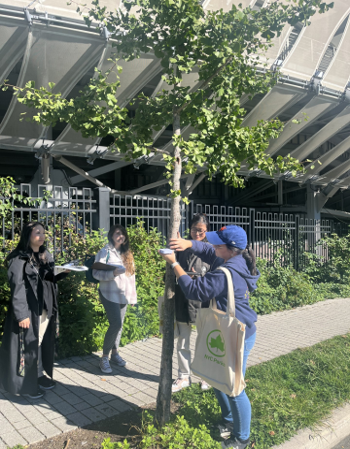A person measuring a young tree while several others observe.