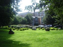 Sixteen Lindens Triangle