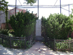DiMattina Playground