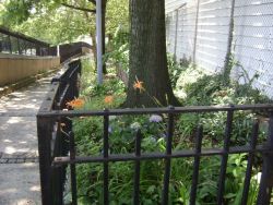 Seeley Park