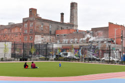Ten Eyck Playground